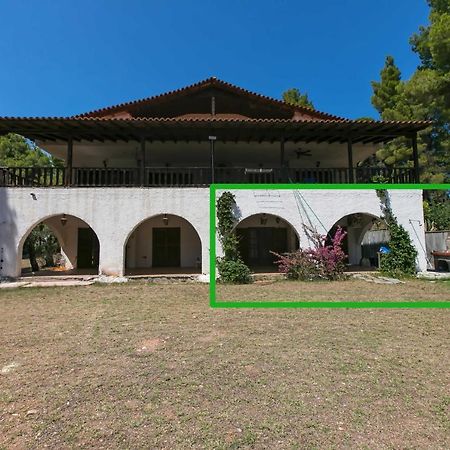 Chalkidiki Beachfront Haven - Perfect Location Nikiti  Zewnętrze zdjęcie