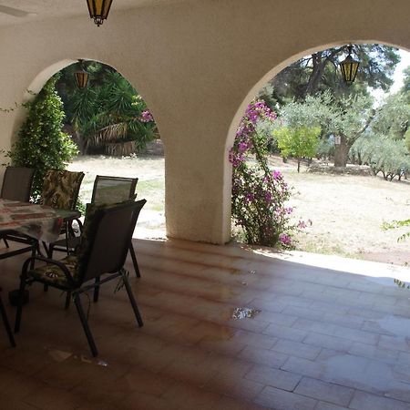Chalkidiki Beachfront Haven - Perfect Location Nikiti  Zewnętrze zdjęcie