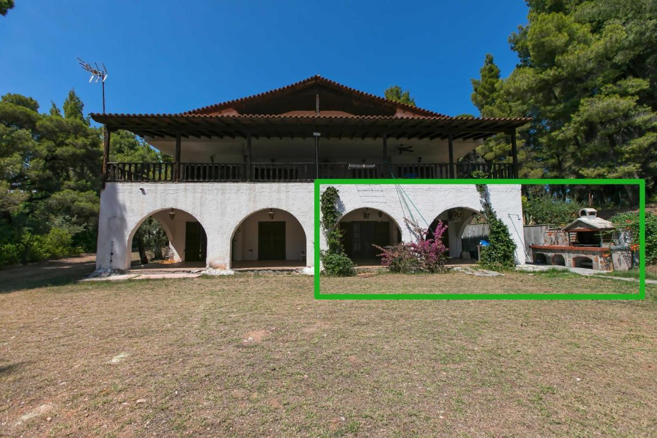 Chalkidiki Beachfront Haven - Perfect Location Nikiti  Zewnętrze zdjęcie