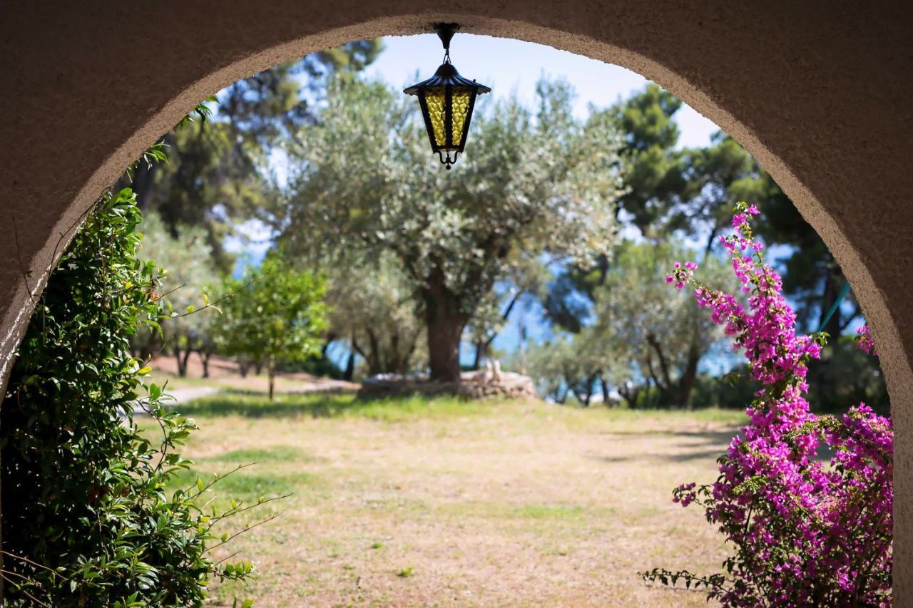 Chalkidiki Beachfront Haven - Perfect Location Nikiti  Zewnętrze zdjęcie