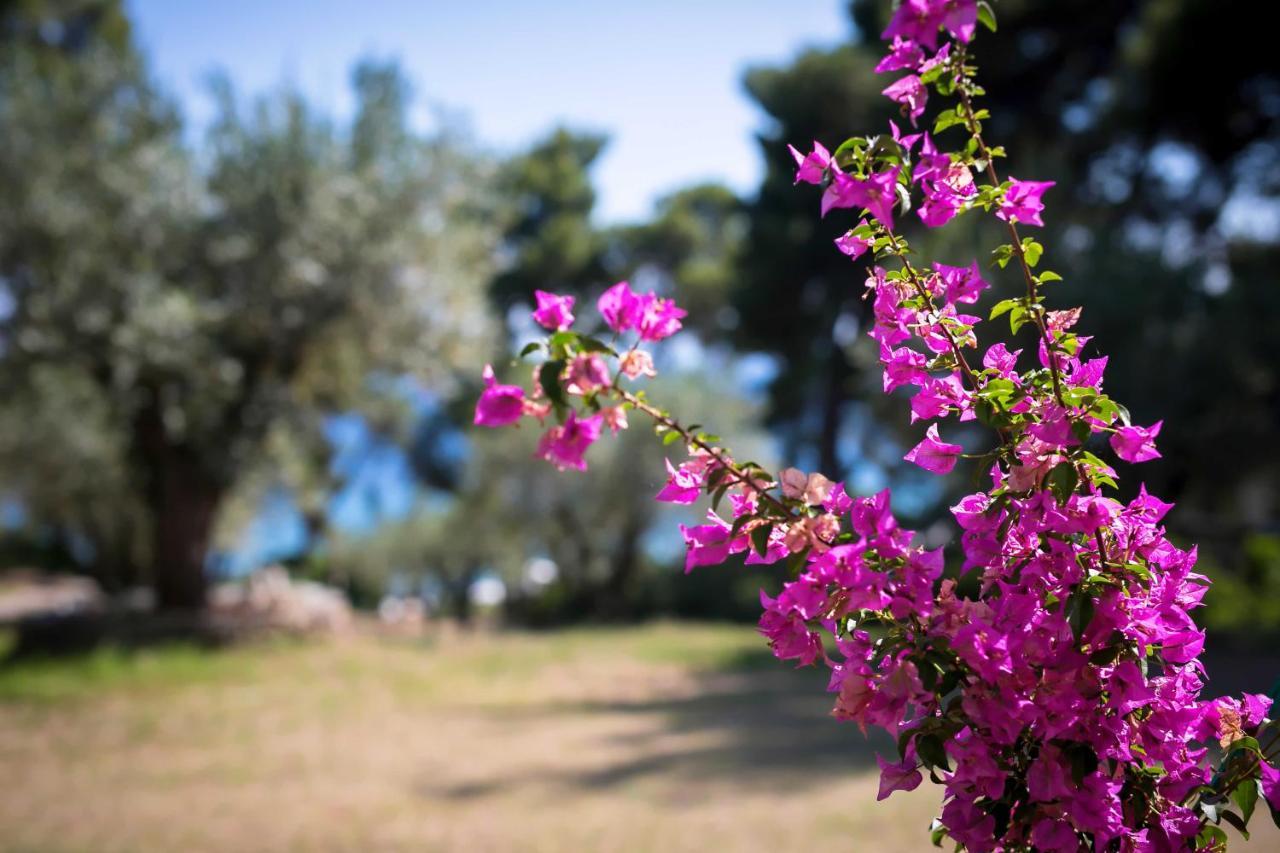 Chalkidiki Beachfront Haven - Perfect Location Nikiti  Zewnętrze zdjęcie